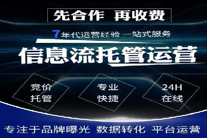 SEM广告投放的竞价策略与效果评估案例